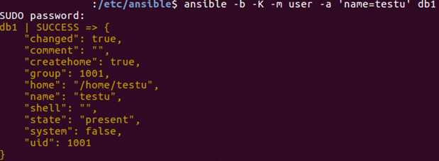 ad-hoc command in Ansible